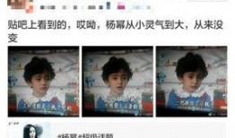 小萌大爆料全部视频,揭秘视频背后的精彩故事