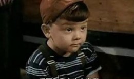 小顽童全集在线观看,童真世界，欢乐无限